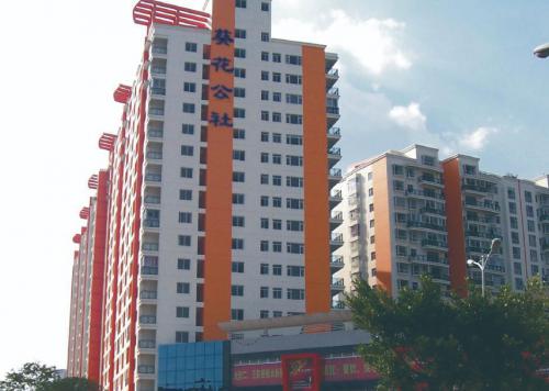 云南省昆明葵花公社