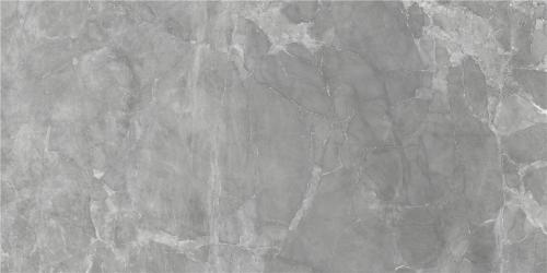 伊利諾伊(TFTL126127)-3