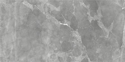 伊利諾伊(TFTL126127)-2