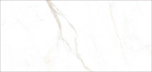 魚(yú)肚白金紋CALACATTA_F3