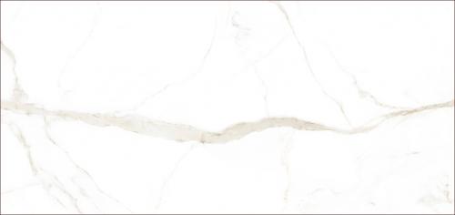 魚(yú)肚白金紋CALACATTA_F4