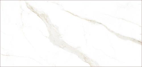 魚(yú)肚白金紋CALACATTA_F5