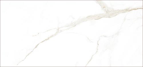 魚(yú)肚白金紋CALACATTA_F6