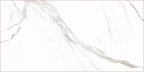 KB0013-L33魚(yú)肚白