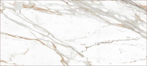 KB0017-22魚(yú)肚金