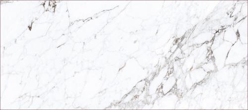 KB0029-L33卡拉季奇