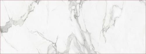 KB0030-L42大花魚肚白