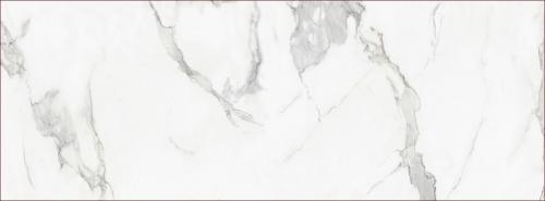 KB0030-L43大花魚肚白