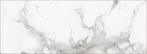 KB0030-L44大花魚肚白