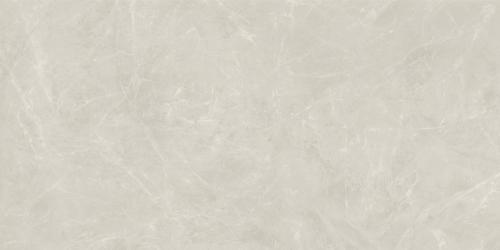 莎安娜TLMN91831GL (4)