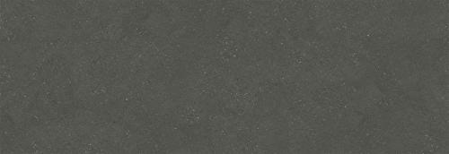 YB44 貝殼化石黑