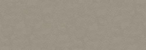 YB46 貝殼化石咖