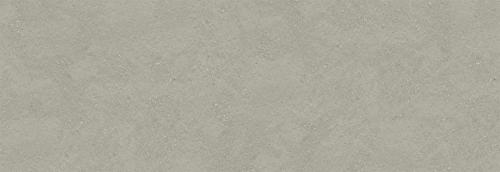 YB45 貝殼化石淺灰