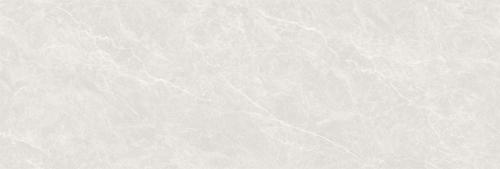 俄羅斯灰9Y926ELH0293L-2