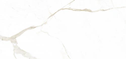 金紋魚肚白 啞面