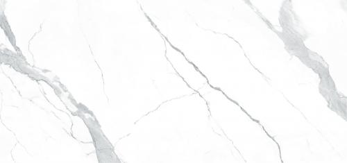 雪花白STATUARIO_F2