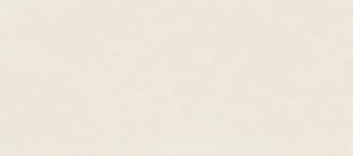 YB08 清水泥瑩白